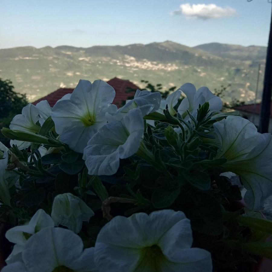 Filanthi